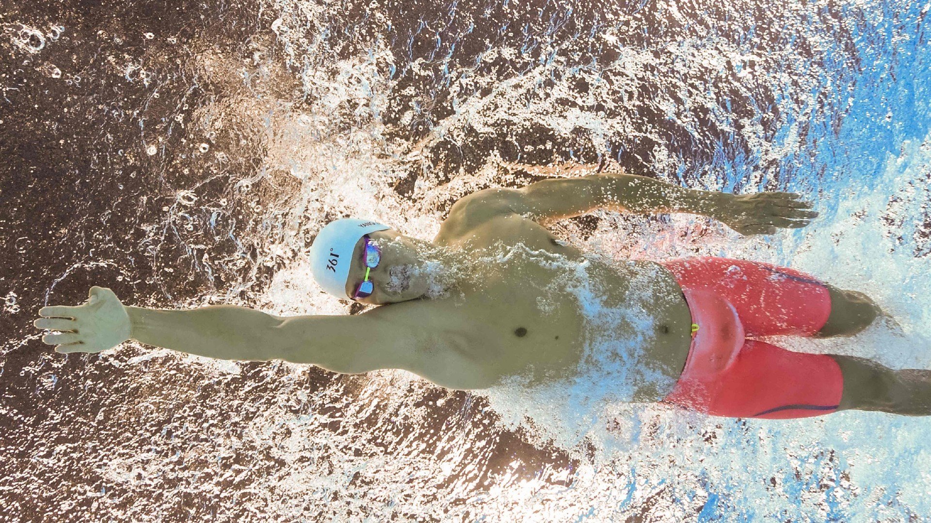 逆境求生：球队如何在危机中扭转局势，逆境求生的狮群